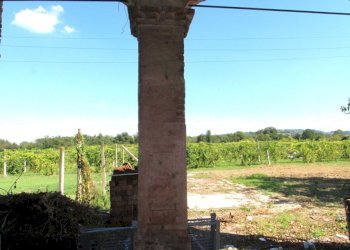 IMG_7319.jpg - Porzione di casa Via Monteveglio, Valsamoggia - foto 11