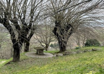 IMG_9159.jpg - Casa indipendente Via Barlete 4, Valsamoggia - foto 16