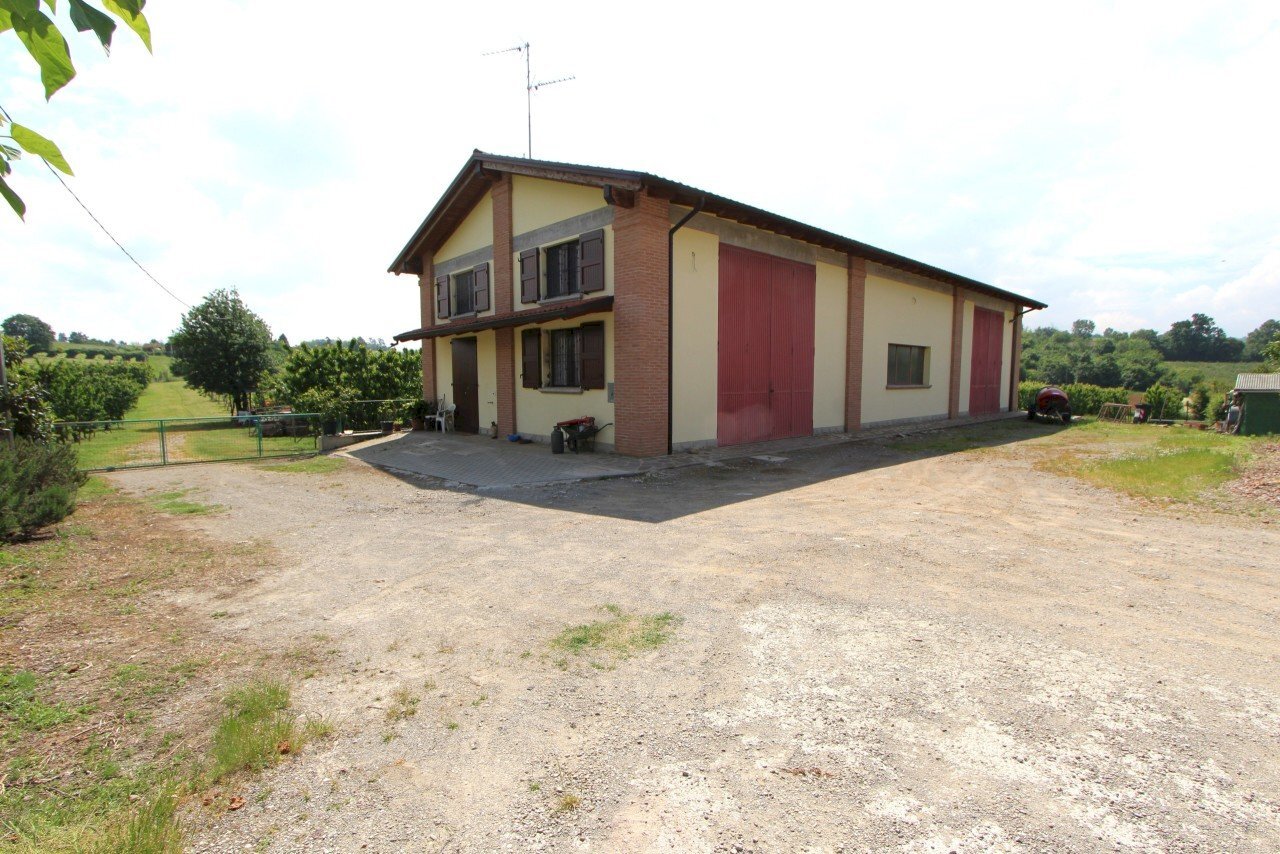 IMG_6456.jpg - Terreno agricolo Via San Francesco, Valsamoggia - foto 3