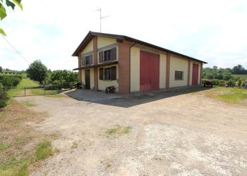 IMG_6456.jpg - Terreno agricolo Via San Francesco, Valsamoggia - foto 3