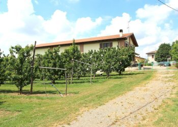 IMG_6473.jpg - Terreno agricolo Via San Francesco, Valsamoggia - foto 5