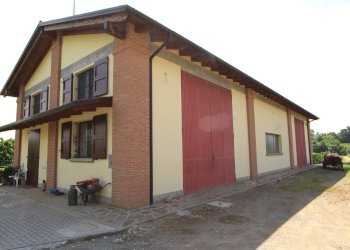 IMG_6460.jpg - Terreno agricolo Via San Francesco, Valsamoggia - foto 9