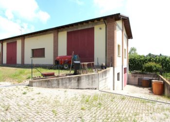 IMG_6461.jpg - Terreno agricolo Via San Francesco, Valsamoggia - foto 10