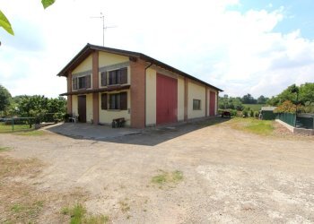 IMG_6458.jpg - Terreno agricolo Via San Francesco, Valsamoggia - foto 18