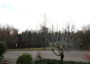 IMG_5576.jpg - Appartamento Via E. Carnevali, Valsamoggia - foto 21