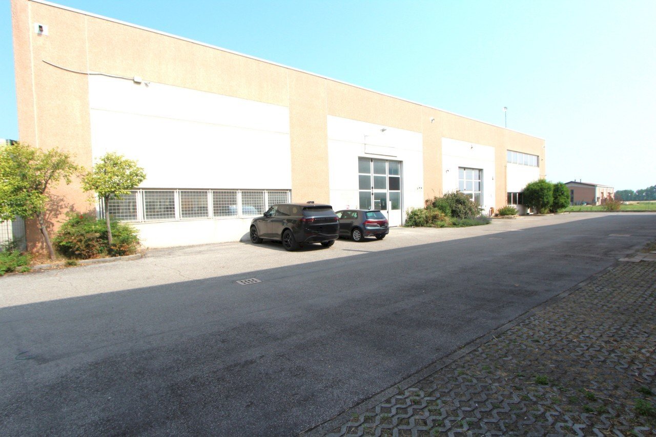 IMG_6834.jpg - Capannone Via Lunga, Valsamoggia - foto 1