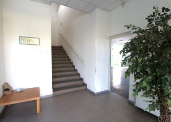 IMG_6805.jpg - Capannone Via Lunga, Valsamoggia - foto 5