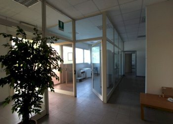 IMG_6803.jpg - Capannone Via Lunga, Valsamoggia - foto 6