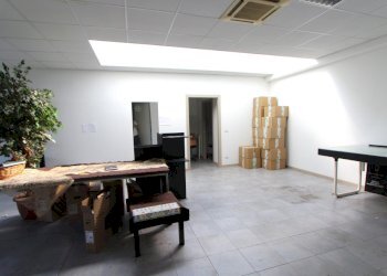 IMG_6819.jpg - Capannone Via Lunga, Valsamoggia - foto 7