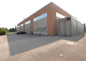 IMG_6824.jpg - Capannone Via Lunga, Valsamoggia - foto 8