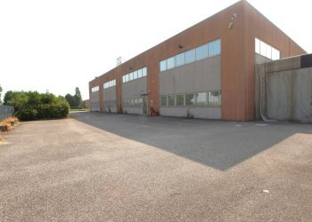 IMG_6826.jpg - Capannone Via Lunga, Valsamoggia - foto 15