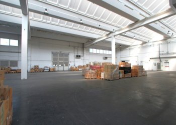 IMG_6798.jpg - Capannone Via Lunga, Valsamoggia - foto 19