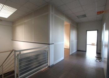 IMG_6810.jpg - Capannone Via Lunga, Valsamoggia - foto 25