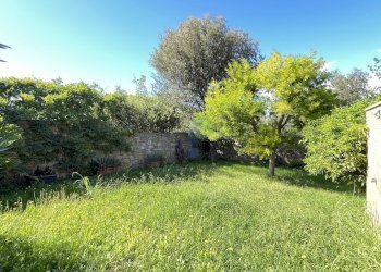 Giardino privato - Villa a Schiera Via del Pino  33, Livorno - foto 6