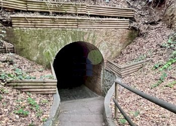 accesso a spiaggia privata - Appartamento Via Aurelia 820, Rosignano Marittimo - foto 13