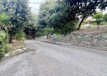 giardini condominiali - Appartamento Via Aurelia 820, Rosignano Marittimo - foto 21