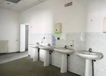 bagni - Locale Commerciale Via Grotta delle Fate 89, Livorno - foto 14