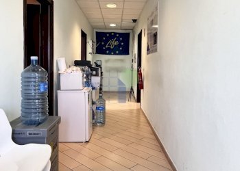 corridoio - Ufficio Via L. da Vinci 35, Livorno - foto 8