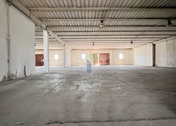 interno capannone - Commercial Premises Via per Rosignano 11, Rosignano Marittimo - photo 3