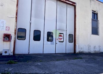 esterno portone carrabile - Commercial Premises Via per Rosignano 11, Rosignano Marittimo - photo 7