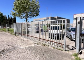 cancello di accesso diretto - Commercial Premises Via per Rosignano 11, Rosignano Marittimo - photo 10