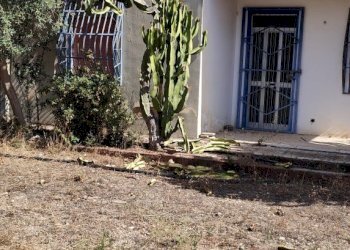 IMG20230719094241.jpg - Terreno edificabile Via Bonaiuto Natale 4, Siracusa - foto 5