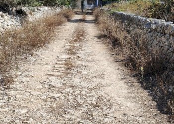 IMG20230719095024.jpg - Terreno edificabile Via Bonaiuto Natale 4, Siracusa - foto 8