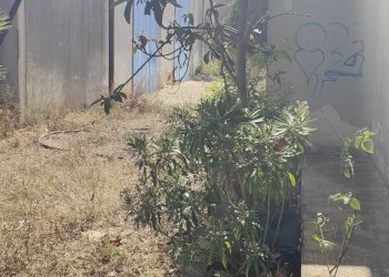 IMG20230719095521.jpg - Terreno edificabile Via Bonaiuto Natale 4, Siracusa - foto 10