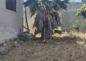 IMG20230719095544.jpg - Terreno edificabile Via Bonaiuto Natale 4, Siracusa - foto 11