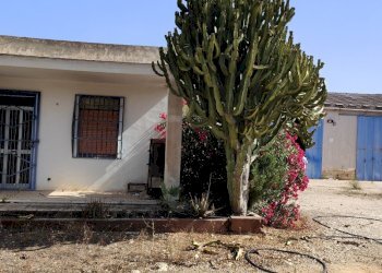 IMG20230719094247.jpg - Terreno edificabile Via Bonaiuto Natale 4, Siracusa - foto 14