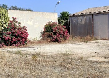 IMG20230719093503.jpg - Terreno edificabile Via Bonaiuto Natale 4, Siracusa - foto 19