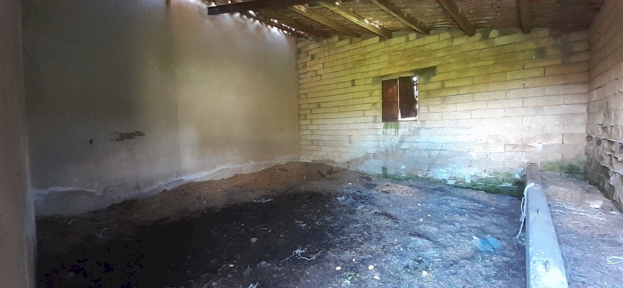 20250424_120303.jpg - Rustic Strada Statale 124 4, Palazzolo Acreide - photo 3