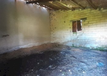 20250424_120303.jpg - Rustico Strada Statale 124 4, Palazzolo Acreide - foto 3