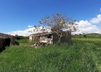 20250424_120030.jpg - Rustico Strada Statale 124 4, Palazzolo Acreide - foto 4