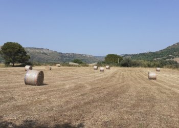 20250606_154625.jpg - Rustico Strada Statale 124 4, Palazzolo Acreide - foto 8