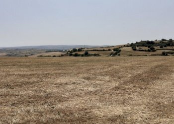 20250606_151926.jpg - Rustico Strada Statale 124 4, Palazzolo Acreide - foto 9