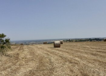 20250606_151935.jpg - Rustico Strada Statale 124 4, Palazzolo Acreide - foto 10