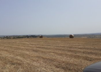 20250606_151936.jpg - Rustico Strada Statale 124 4, Palazzolo Acreide - foto 11