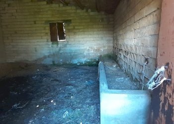 20250424_120300.jpg - Rustico Strada Statale 124 4, Palazzolo Acreide - foto 14