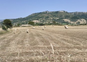 20250606_151945.jpg - Rustico Strada Statale 124 4, Palazzolo Acreide - foto 19