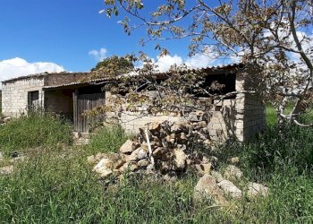 20250424_120105.jpg - Rustico Strada Statale 124 4, Palazzolo Acreide - foto 21