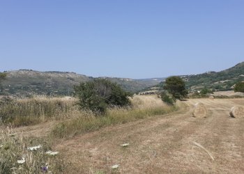 20250606_151949.jpg - Rustico Strada Statale 124 4, Palazzolo Acreide - foto 29