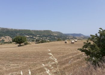 20250606_151947.jpg - Rustico Strada Statale 124 4, Palazzolo Acreide - foto 30