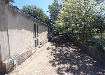 20250527_101259.jpg - Rustico Strada Provinciale 24 21, Noto - foto 3