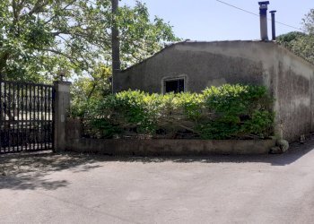 20250605_143859.jpg - Rustico Strada Provinciale 24 21, Noto - foto 4