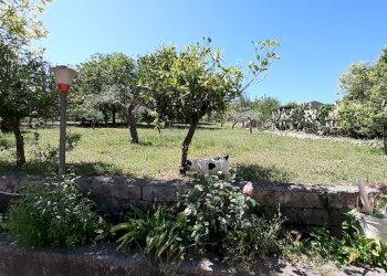 20250527_101339.jpg - Rustico Strada Provinciale 24 21, Noto - foto 17