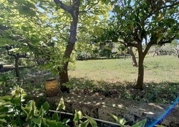 20250527_101347.jpg - Rustico Strada Provinciale 24 21, Noto - foto 18