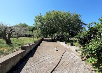 20250527_101411.jpg - Rustico Strada Provinciale 24 21, Noto - foto 19