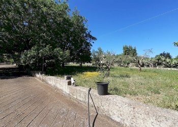 20250527_101416.jpg - Rustico Strada Provinciale 24 21, Noto - foto 20