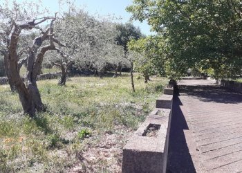 20250527_102522.jpg - Rustico Strada Provinciale 24 21, Noto - foto 22